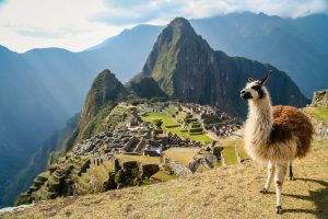 Machu Picchu com Amakha Paris