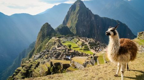 Machu Picchu com Amakha Paris